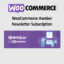 Download Woocommerce Aweber Newsletter Subscription @ Only $4.99