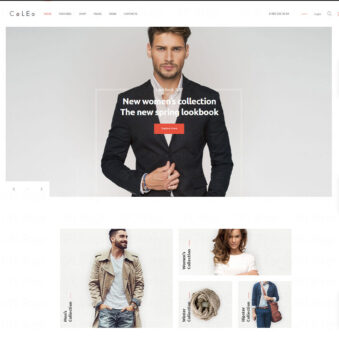 Download Coleo | A Stylish Fashion Clothing Store WordPress Theme @ Only $4.99