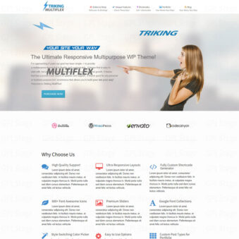 Download Striking – MultiFlex & Ecommerce Responsive WP Theme @ Only $4.99