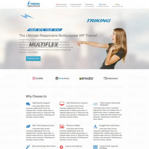 Download Striking – Multiflex &Amp; Ecommerce Responsive Wp Theme @ Only $4.99