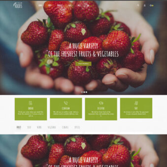 Download Vegan Food – Organic Store Responsive WooCommerce WordPress Theme @ Only $4.99