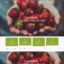 Download Vegan Food – Organic Store Responsive Woocommerce Wordpress Theme @ Only $4.99