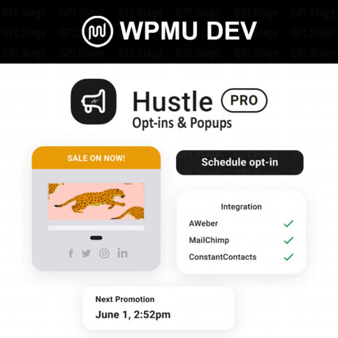 Download Wpmu Dev Hustle Pro @ Only $4.99