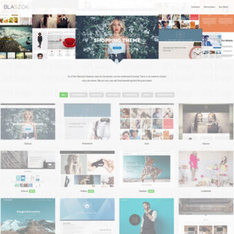 Download Blaszok eCommerce Theme @ Only $4.99