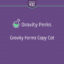 Download Gravity Perks – Gravity Forms Copy Cat @ Only $4.99