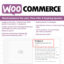 Download Woocommerce Pre-Sale, Time Offer &Amp; Expiring System @ Only $4.99