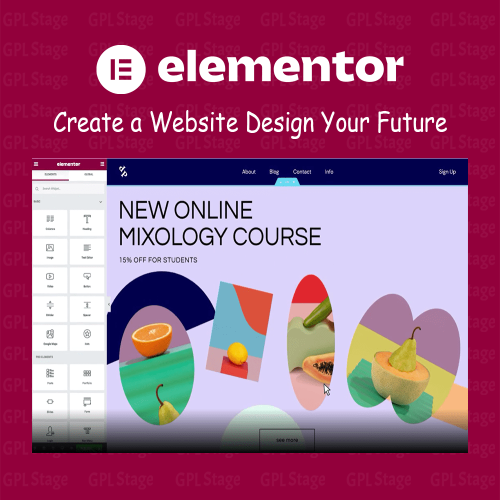 Elementor PRO - WordPress Page Builder Plugin