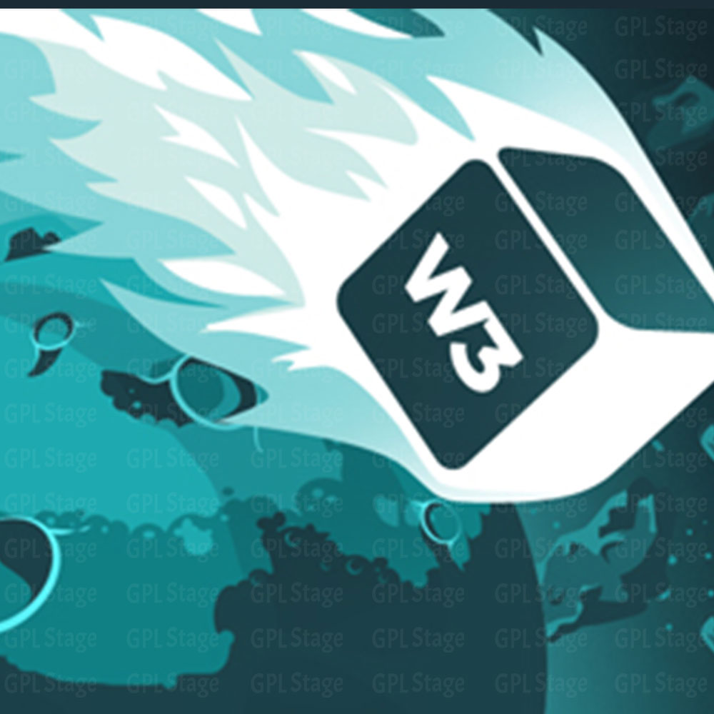 W3 Total Cache Pro - WordPress Caching Plugin W3 Total Cache