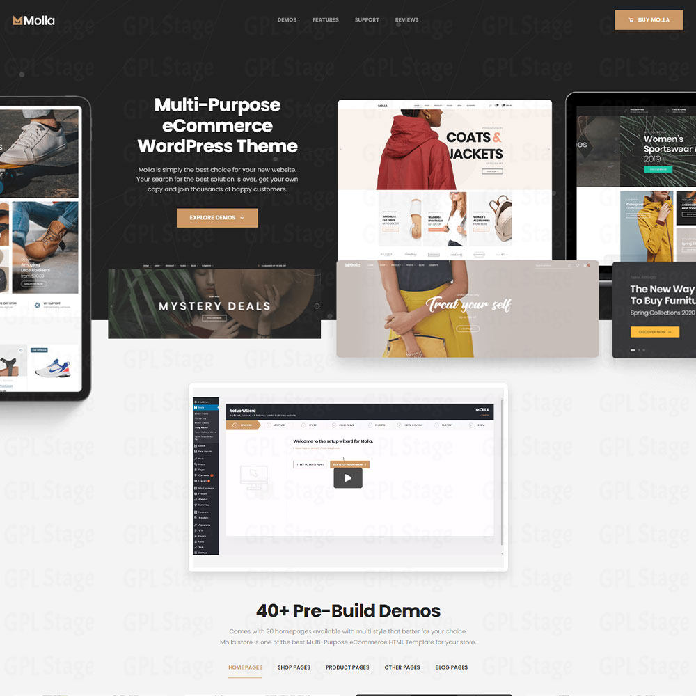 Molla "Multi-Purpose WooCommerce Theme"