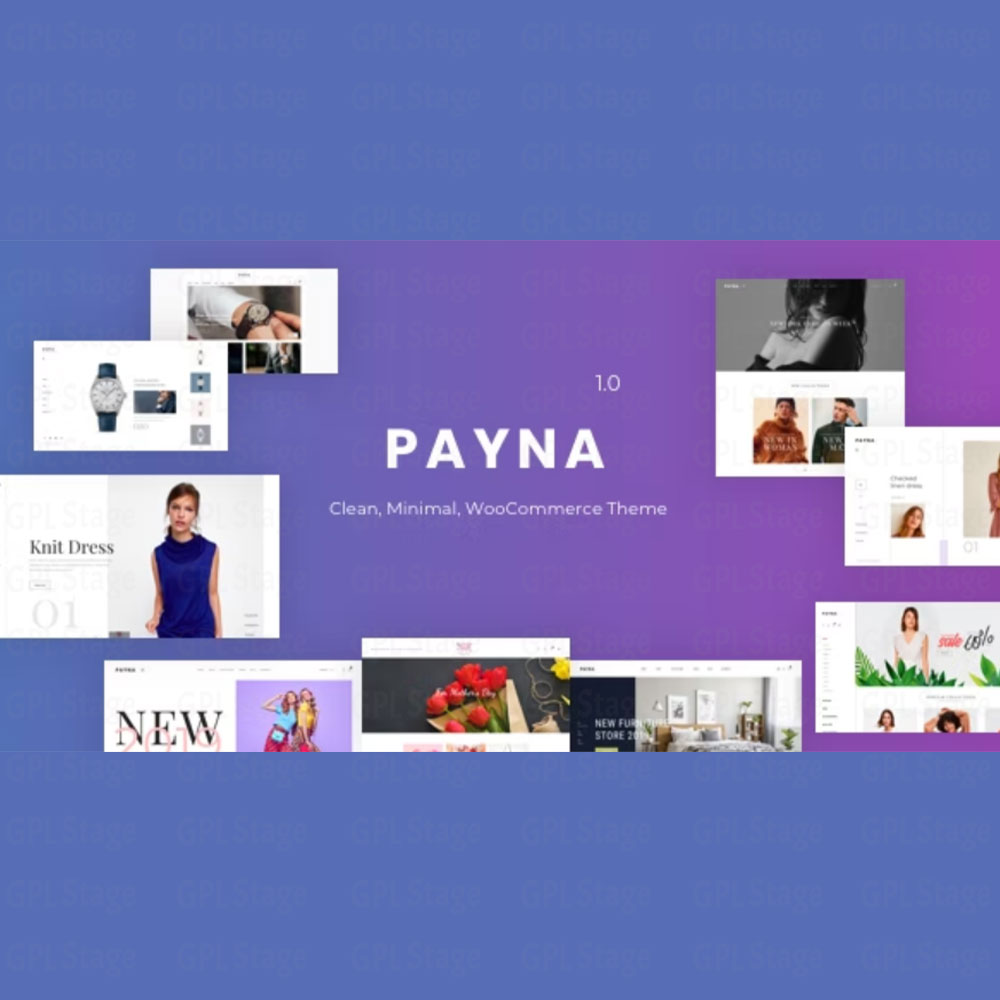 Payna - Minimal WooCommerce Theme