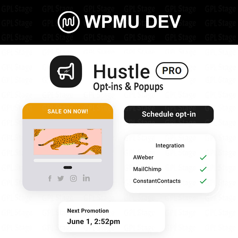 WPMU DEV Hustle Pro