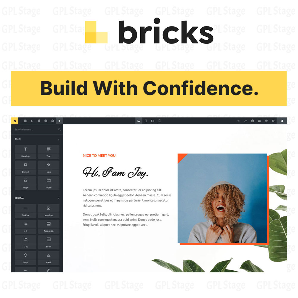 Bricks